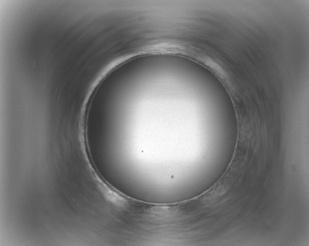 X0000070431478200606091251