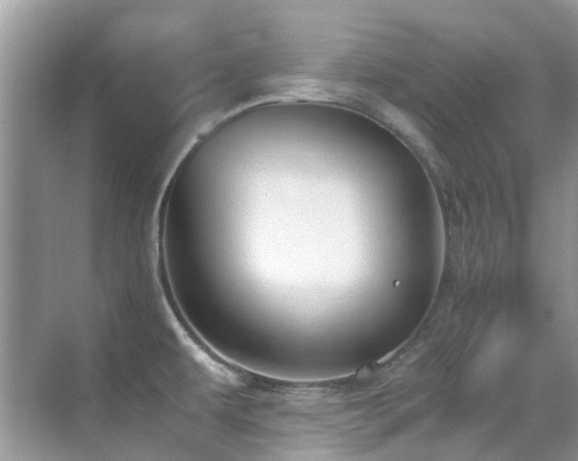 X0000070431479200606091251
