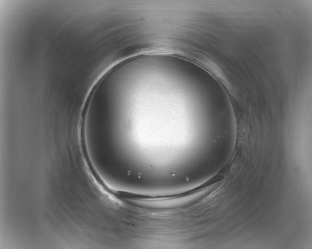 X0000070431484200606091251