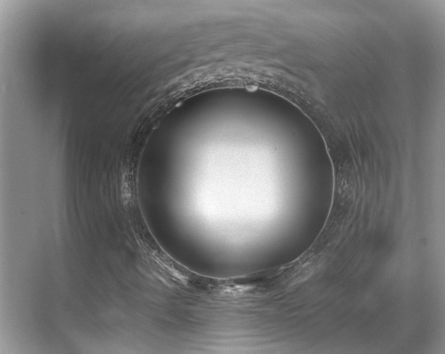X0000070431490200606091250