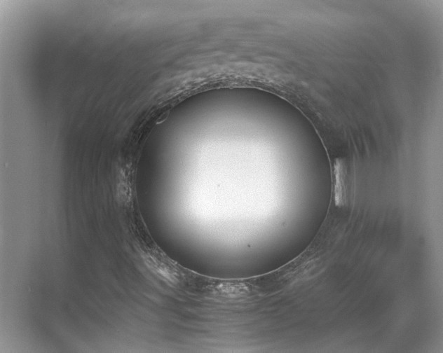 X0000070431491200606091250