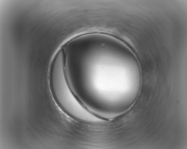 X0000070431508200606091250