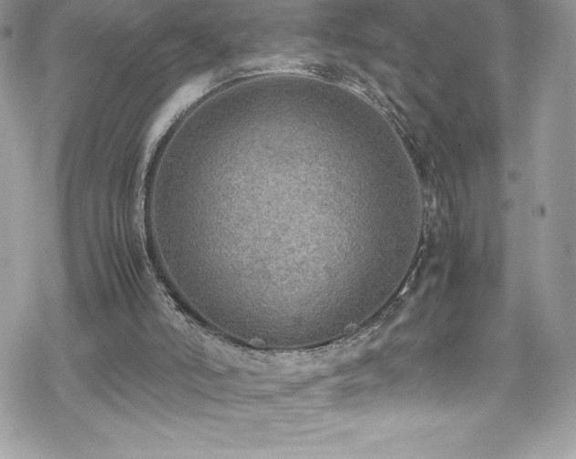 X0000070430006200606121422