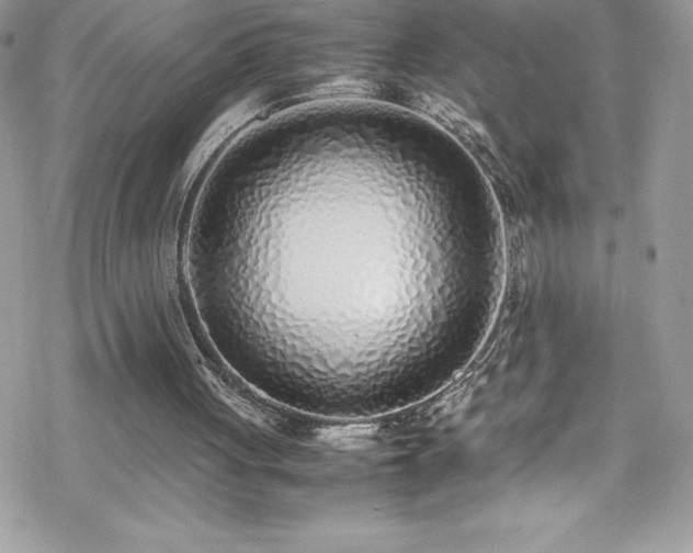 X0000070430051200606121421