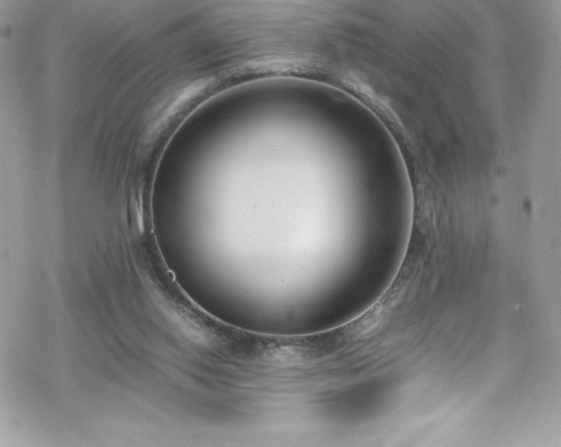 X0000070430062200606121421