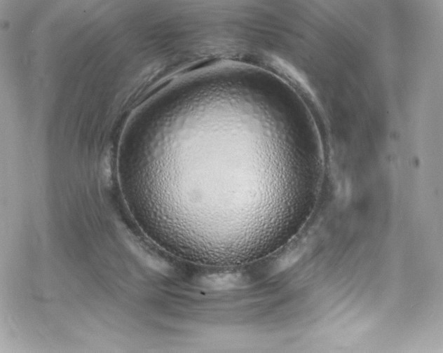 X0000070430065200606121421