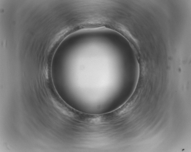 X0000070430068200606121421