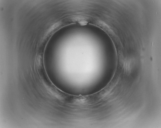 X0000070430071200606121421