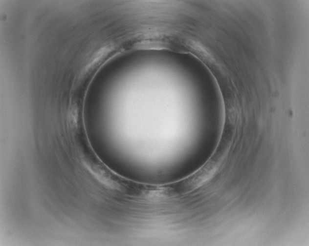 X0000070430072200606121421