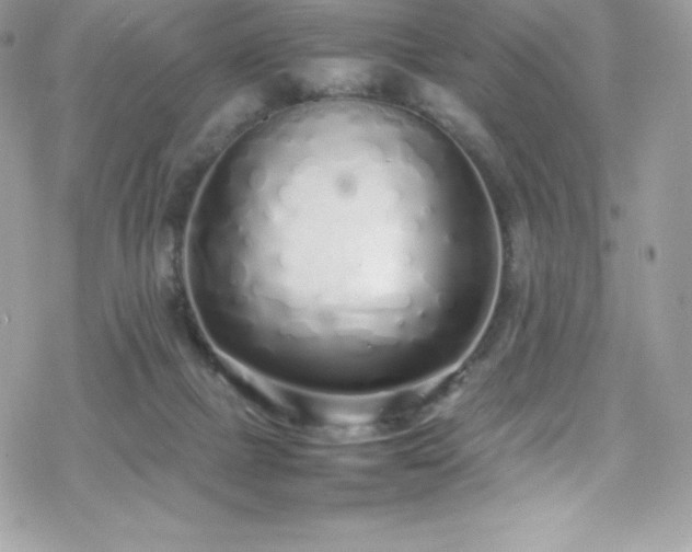 X0000070430073200606121421