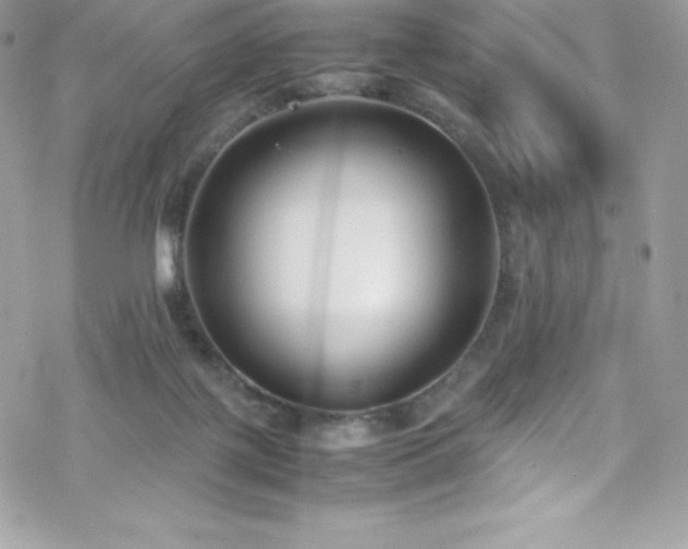 X0000070430075200606121421