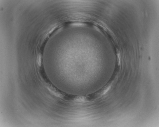 X0000070430076200606121421
