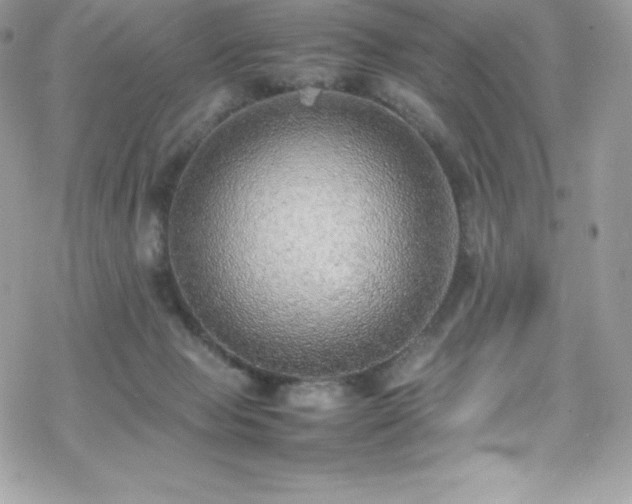 X0000070430077200606121421