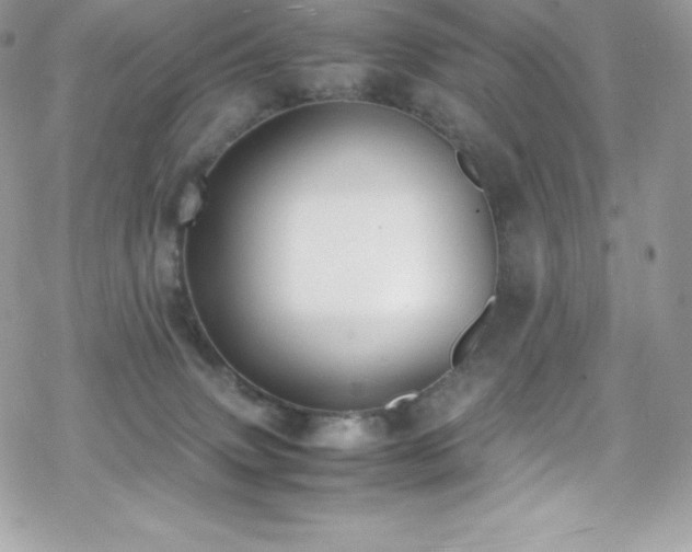 X0000070430083200606121421