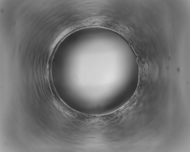 X0000070430100200606121421