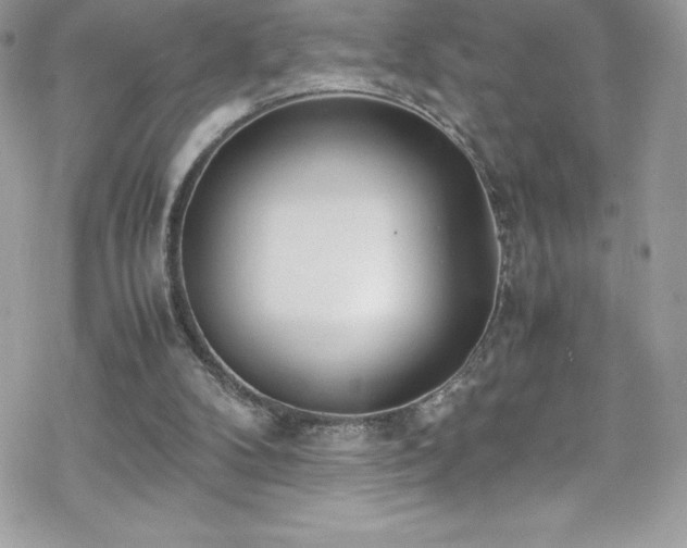 X0000070430104200606121421