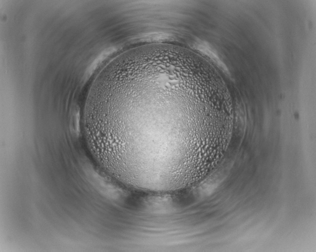 X0000070430110200606121421