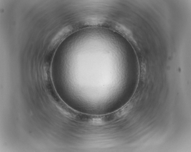X0000070430114200606121421