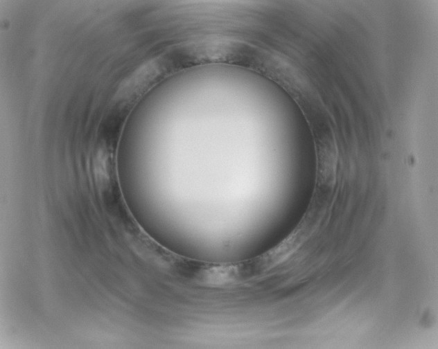 X0000070430126200606121420