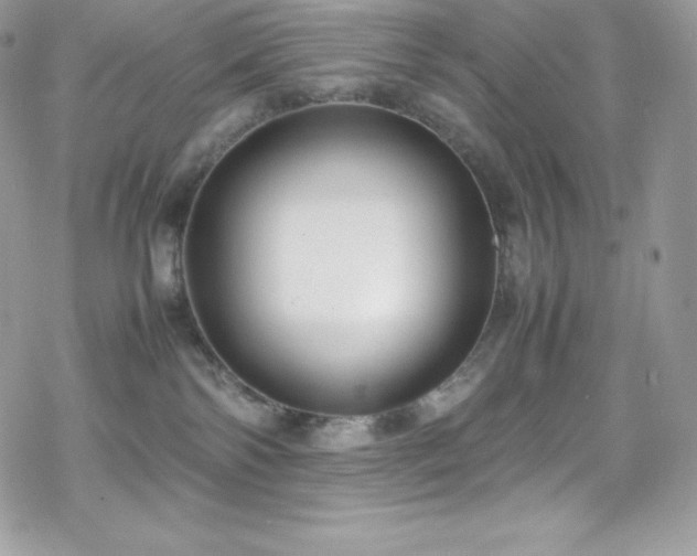 X0000070430138200606121420