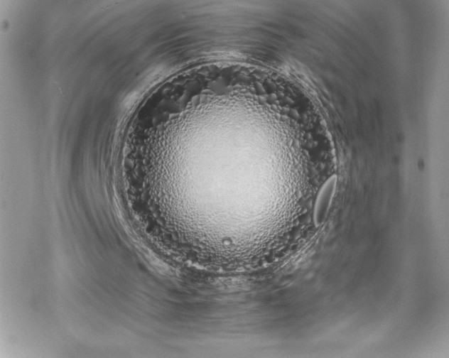 X0000070430145200606121419
