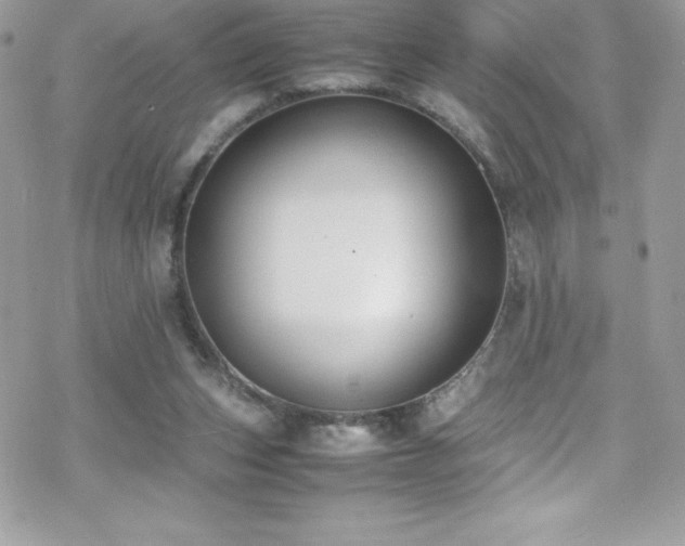 X0000070430159200606121420