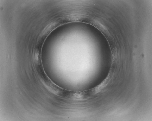 X0000070430166200606121420