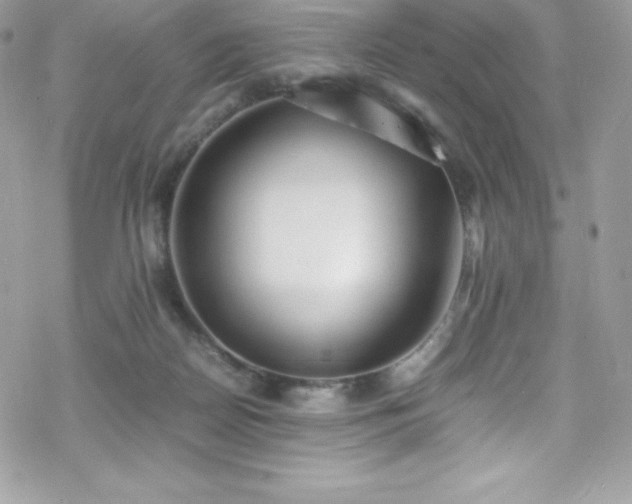 X0000070430170200606121420