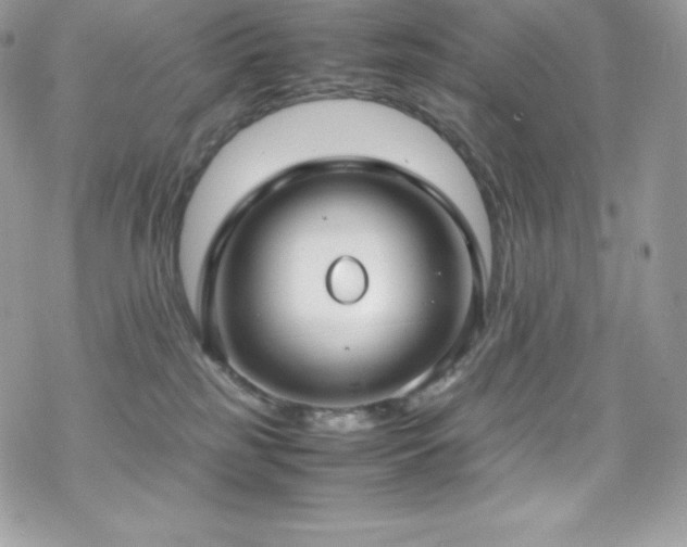 X0000070430185200606121420