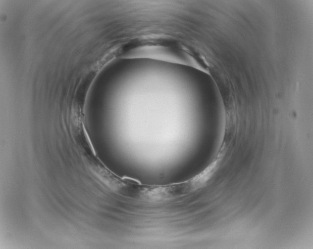 X0000070430186200606121420