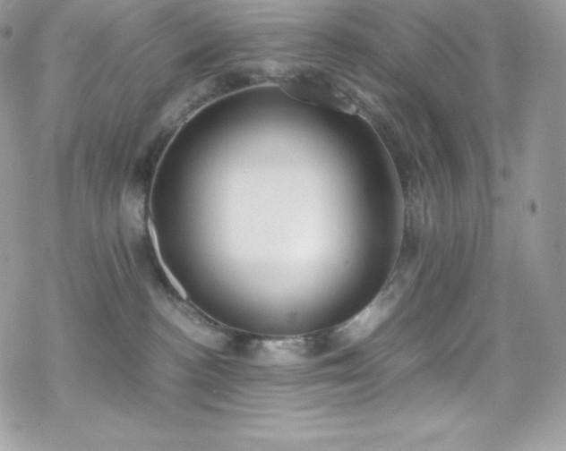 X0000070430188200606121420