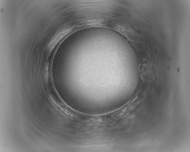 X0000070430194200606121419