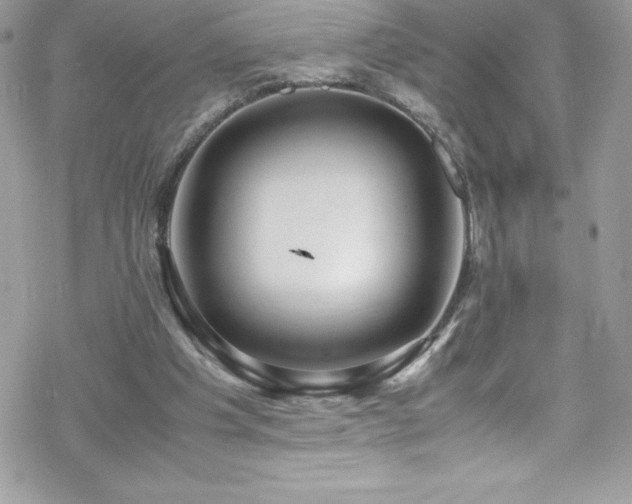 X0000070430201200606121419