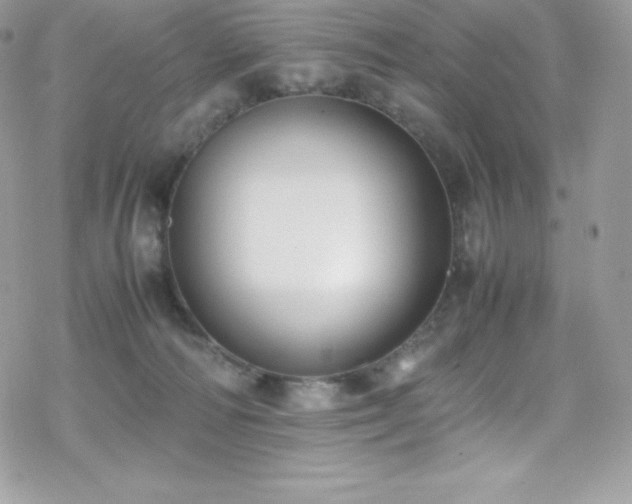 X0000070430226200606121419