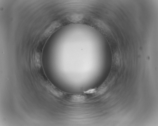 X0000070430234200606121419