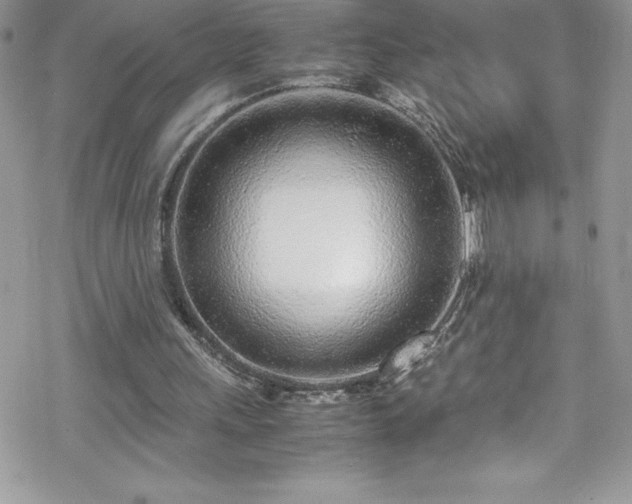 X0000070430243200606121418