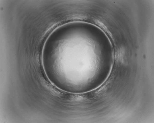X0000070430249200606121418