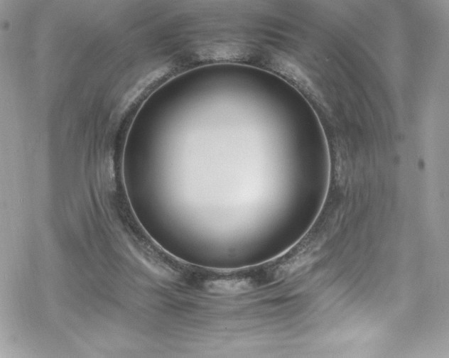 X0000070430251200606121418