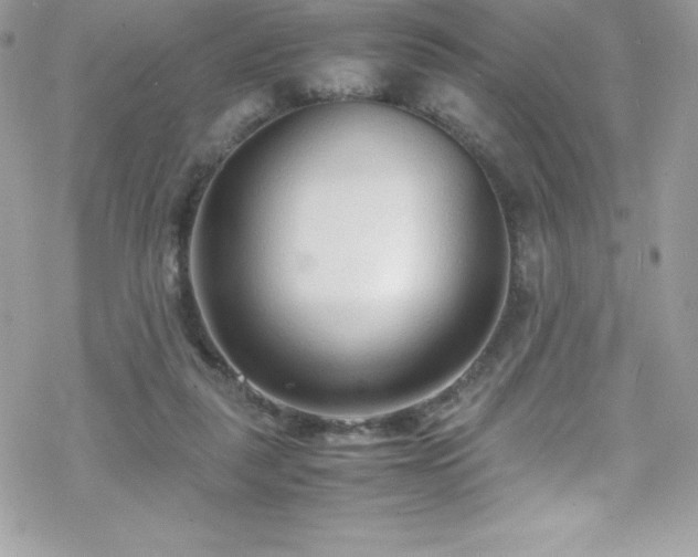 X0000070430259200606121418