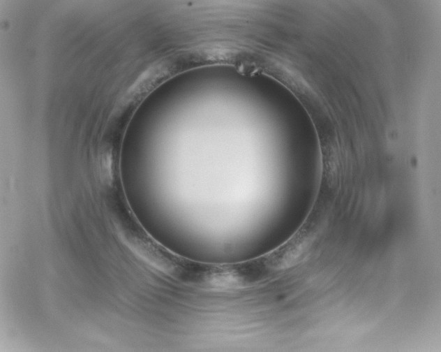 X0000070430262200606121418