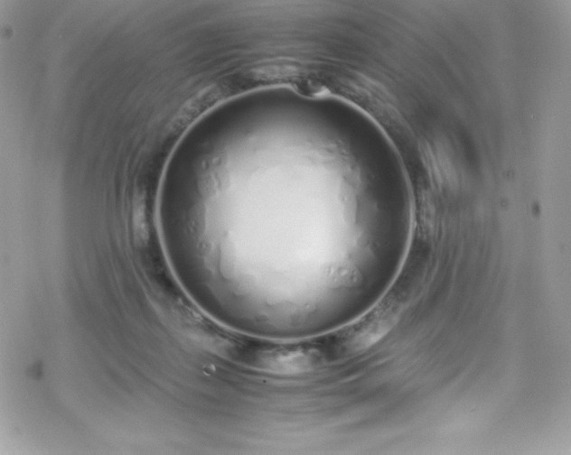 X0000070430267200606121418