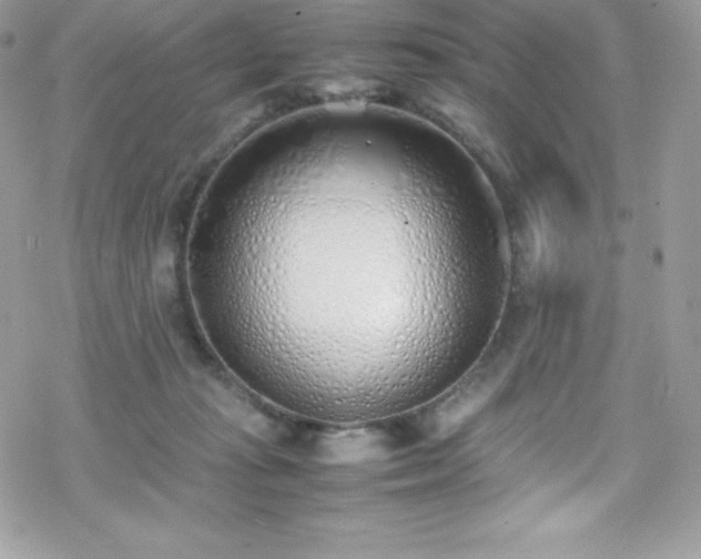 X0000070430269200606121418