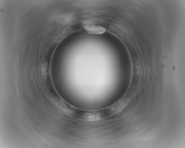 X0000070430275200606121418