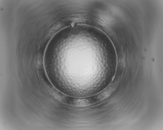 X0000070430277200606121418