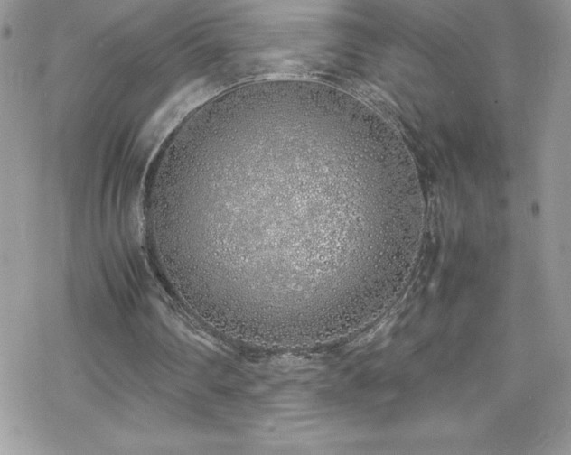 X0000070430290200606121418
