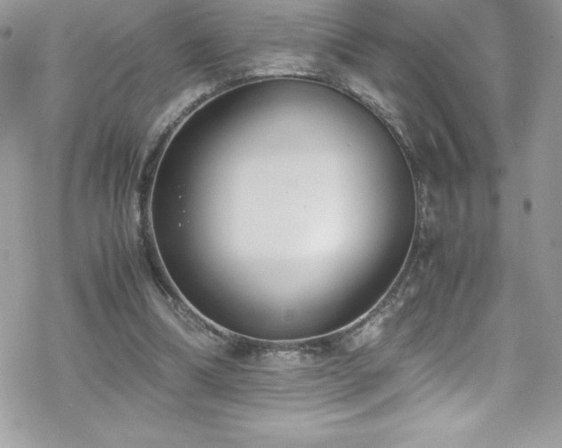 X0000070430298200606121418