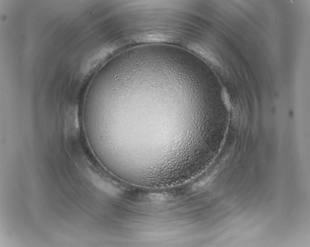 X0000070430302200606121418