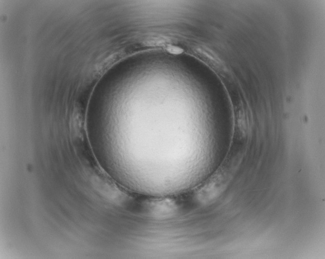 X0000070430322200606121417