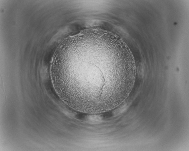 X0000070430327200606121417