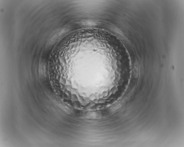 X0000070430330200606121417
